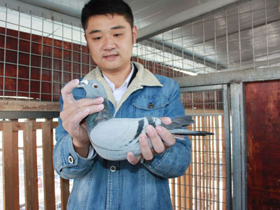 ר������������ᡪ�������ְҵ������