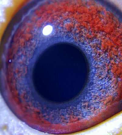 �ҵĲ����ָ��� ��˵�е�������(ͼ)