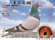 ����Ѫ���������漣��ͬ�Ѿ�����