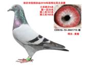 Ҫ����߻��� �����Ŵ�����λ