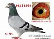 Դͷ�����رȹھ���δ��죿