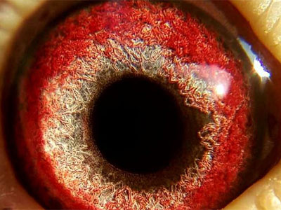 �������ҵĴ�ʦ �����۷ִ��ۣ�