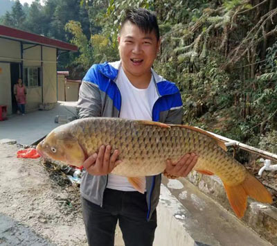 һ·��Ѫ��������¡���ר�ù�����������