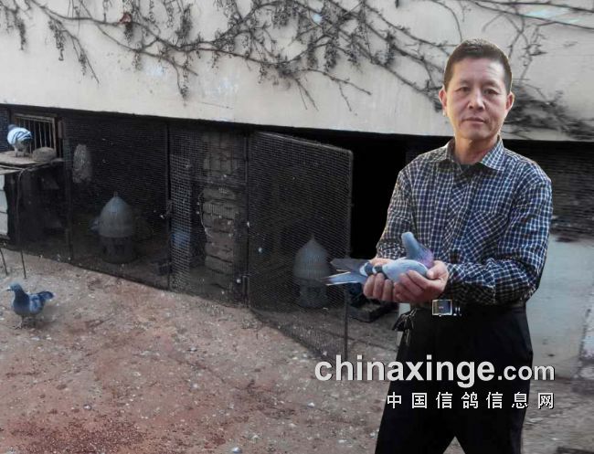 6ƽ������50�𡪡��ھ�������̨�µ�΢�͸���