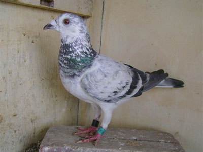 ���ҹ���ٹ��ǲ�����ѡ��