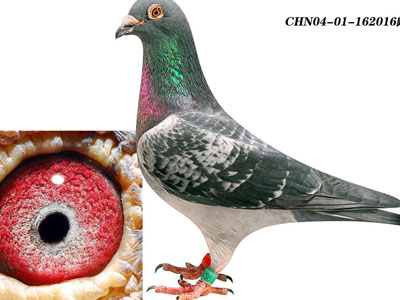 ÿ��һ�룺���������롰�۷�š�