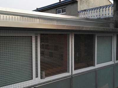 �����¸��� ��������Ľ