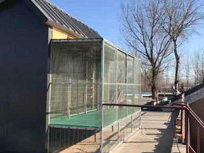 �½����� �ɹ�͸���