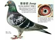 �������Ϊ��������Ӯ�ùھ�����