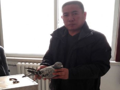 �߷ú�����ʿ��ʵս�͸���