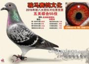 �����硢�͹鳲�񽱸뼰��ĸ��������