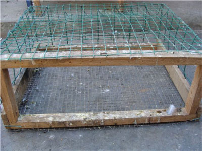 ������Ӧ�� ���׸������Ӧ��������