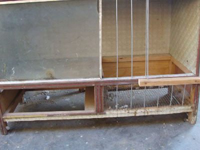 �������� �ɼҾ�����������