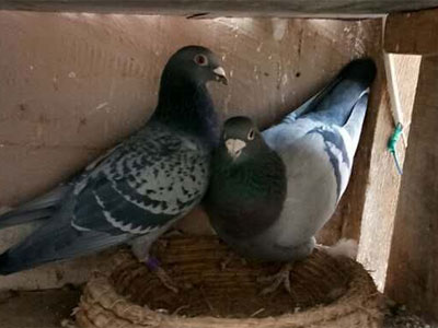 �����ָ�㣺�ҵ������Σ�