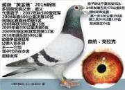 ǿǿ��� �Ӵ��ɾ���������