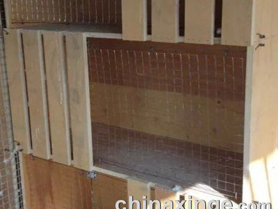 ������ľ����������Գ�����