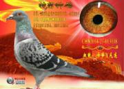 ������뻻��һ�������ִ�