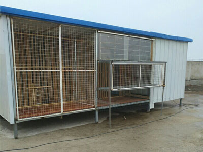 ��н�Խ����� ����һǧ�࣡