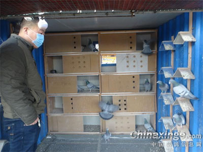 �ݷ�ɽ��˳�幫��ھ���ʦ�������Ҫ���۾�