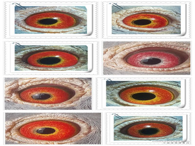 ���ۣ�̽�����������