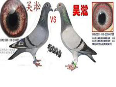 顶级心法：赛绩配对的三计绝招