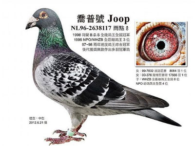 ���˺�ʱ����������ĳ����룿