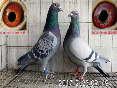 ��Ѫ��Զ����� ����ǧ����ھ�