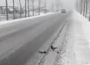 �ж�˲�䣺ѩ���������·�� �����᲻�÷���