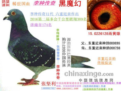 ����������ʲô�ǽ����䣿
