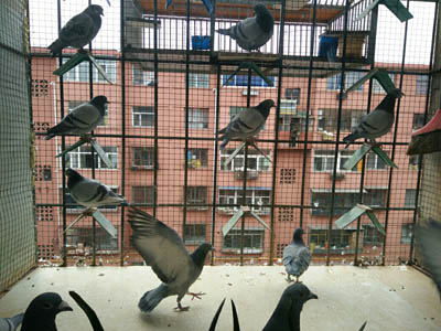 ��̨������ж���