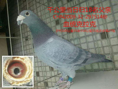 ǧ���ﵱ�չ���Կ���̭��