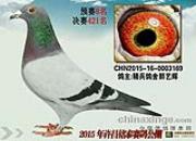 �ƽ��ָ룺������ߵͷ���ͨ��