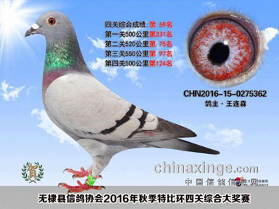 ʵ֤�����������������������