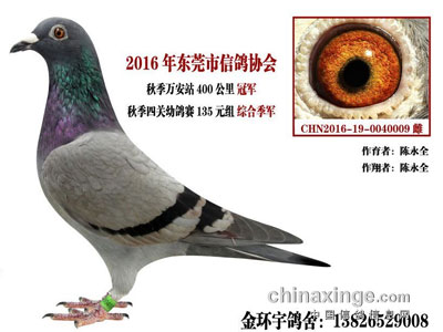 ����ھ���Ϯ������ѵ�� ˵˵����������ȫ