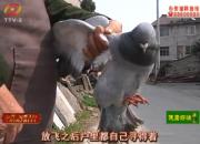 �Ÿ�̰������ũ�� ��̫�񵽲�Ըɱ��