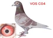 ��ʧ���VOS04