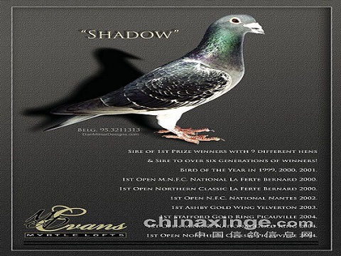 ÿ��һ�룺19������ھ��ġ�Ӱ�衱