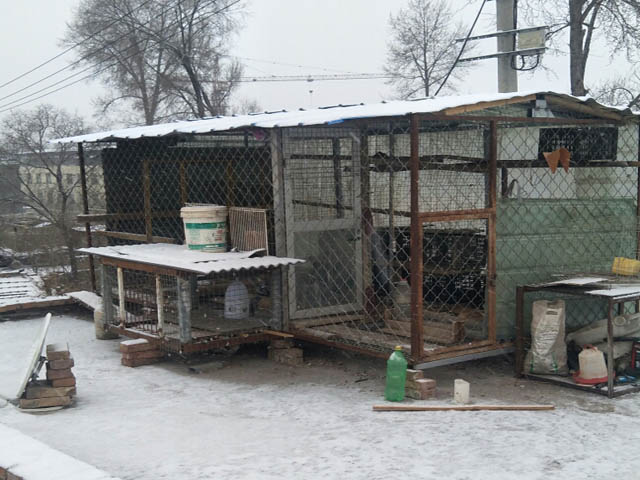 ���������� ����߶Ը�