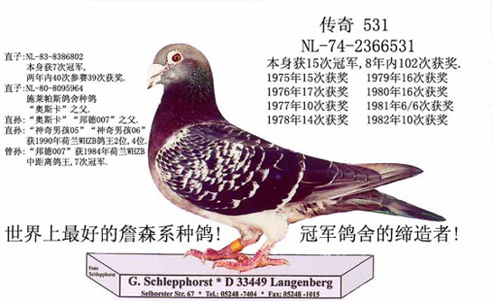 ÿ��һ�룺����������ϰٴεĴ���531