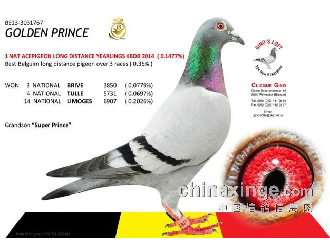 һ�����265��Ԫ ������������й��ˣ�