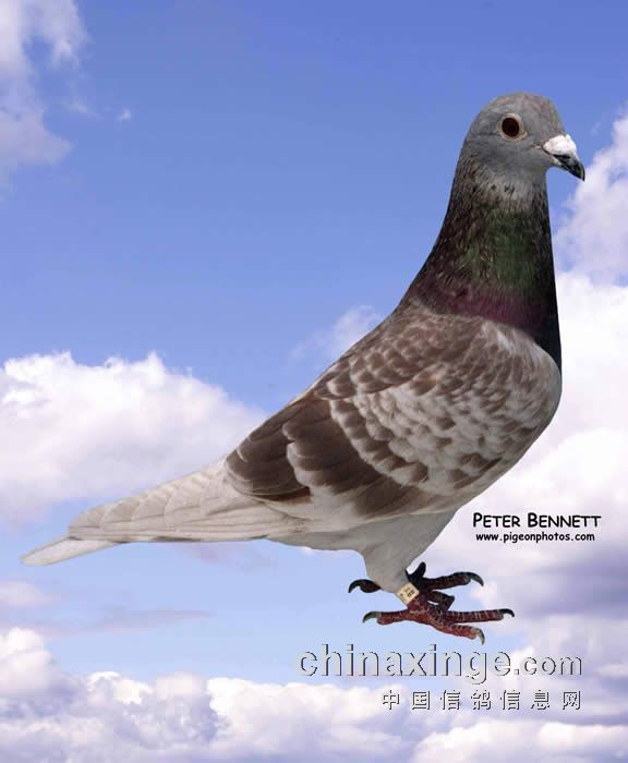 ÿ��һ�룺900��������ʮ�εĿ�������