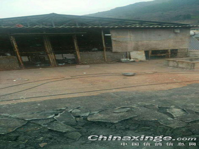 ����©ˮŲ���� ������ƽ�����