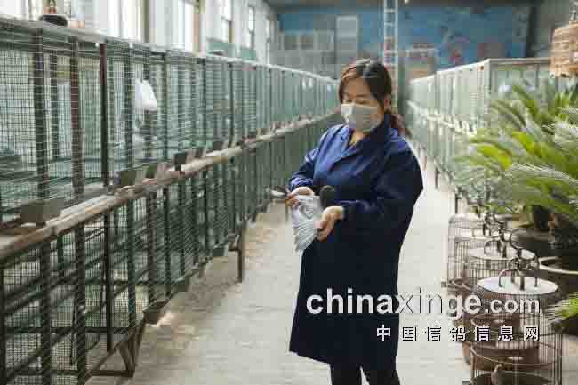 ���赱��16�깫�������ͼ��