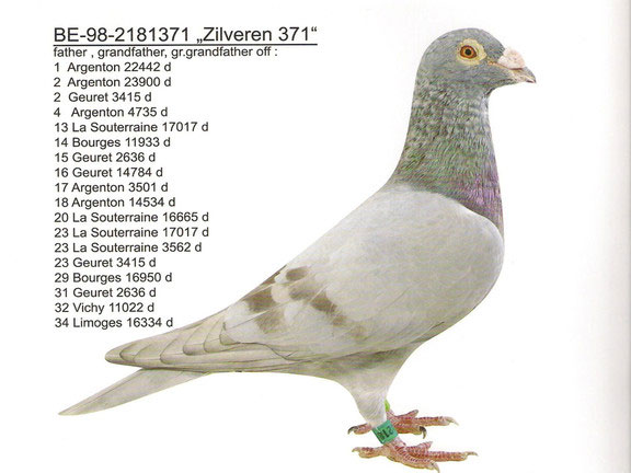 ÿ��һ�룺���˹�Ŀ��������ɫ371