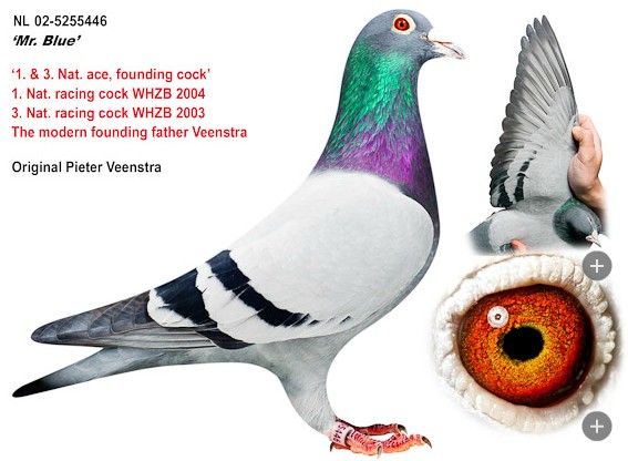 ÿ��һ�룺���촫�������ġ���������