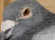 ����䷢��һ��ҩ �����˷�����Ȭ����
