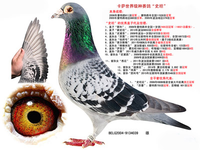 ÿ��һ�룺����������ھ��ĳ���������ʷ̹