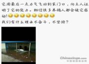 Ӣ�۸룡�þ�ȫ���鳲 �۵����ſ�