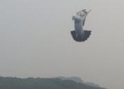 ÿһ�ι鳲�����漣��