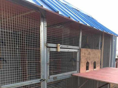 �ϰ����Լ�����С����